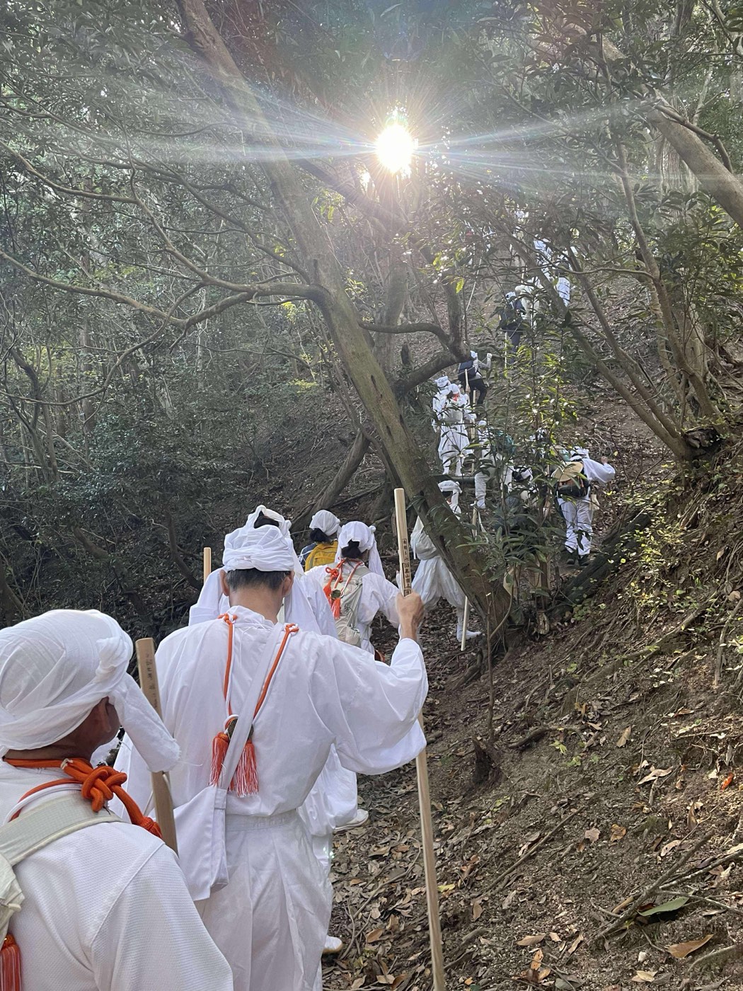 白装束の山伏たちが木漏れ日の山道を登る様子